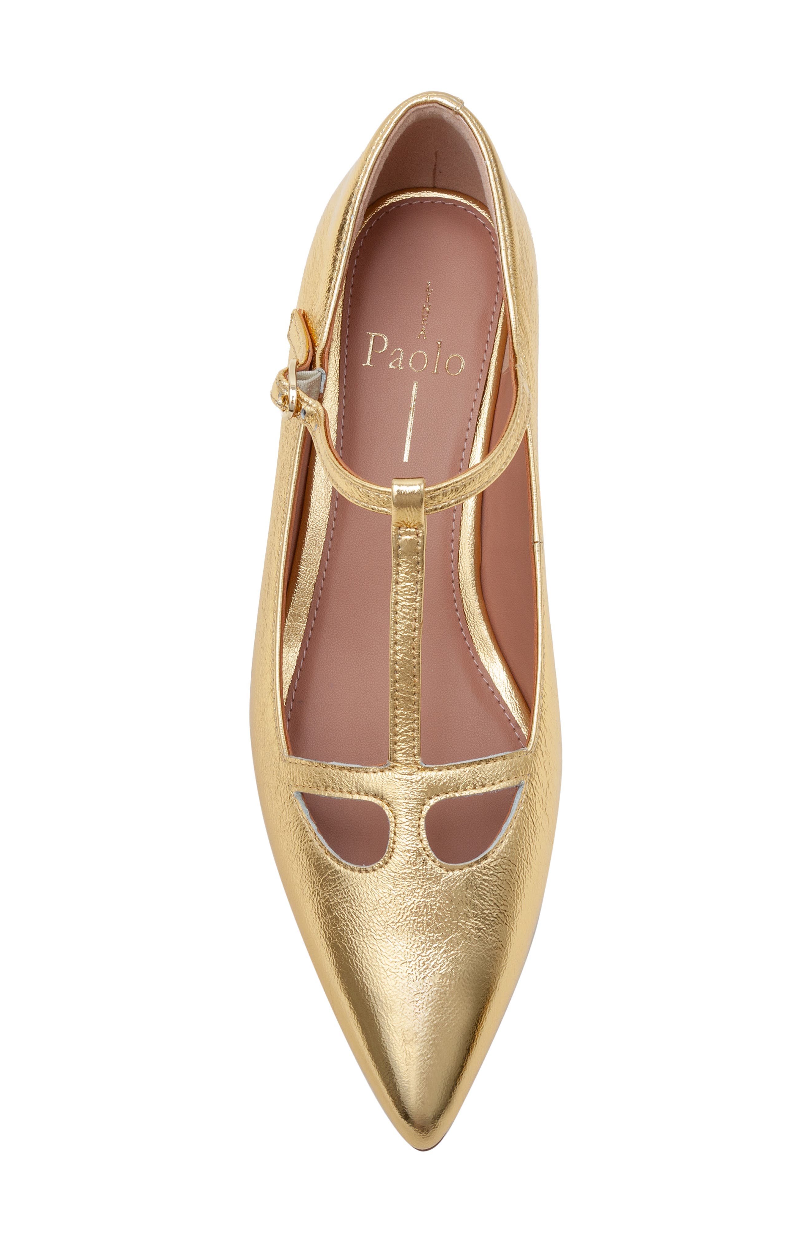 Linea Paolo Celia Pointed Toe T-Strap Pump, Alternate, color, Gold