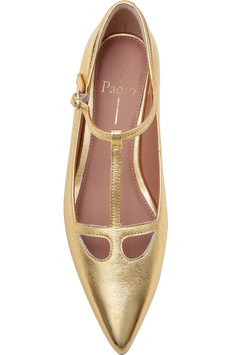Linea Paolo Celia Pointed Toe T-Strap Pump, Alternate, color, Gold