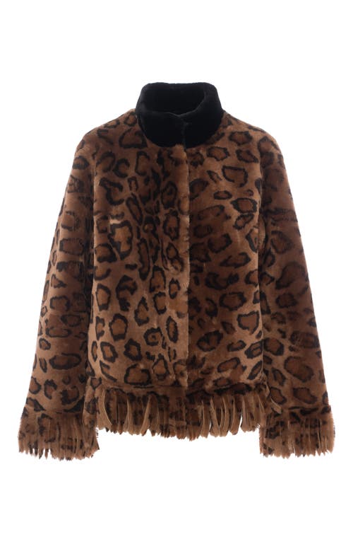 Gorski Shearling Lamb Jacket With Fringes In Brown
