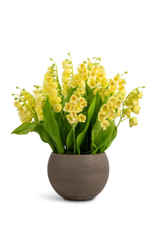 Cocobella Veda Realtouch Muguet Arrangement In Yellow