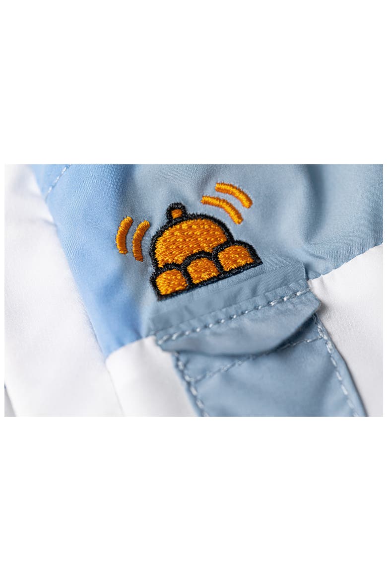 Bartholomew Ski Bear Plush Toy, Alternate, color, BLUE MULTI