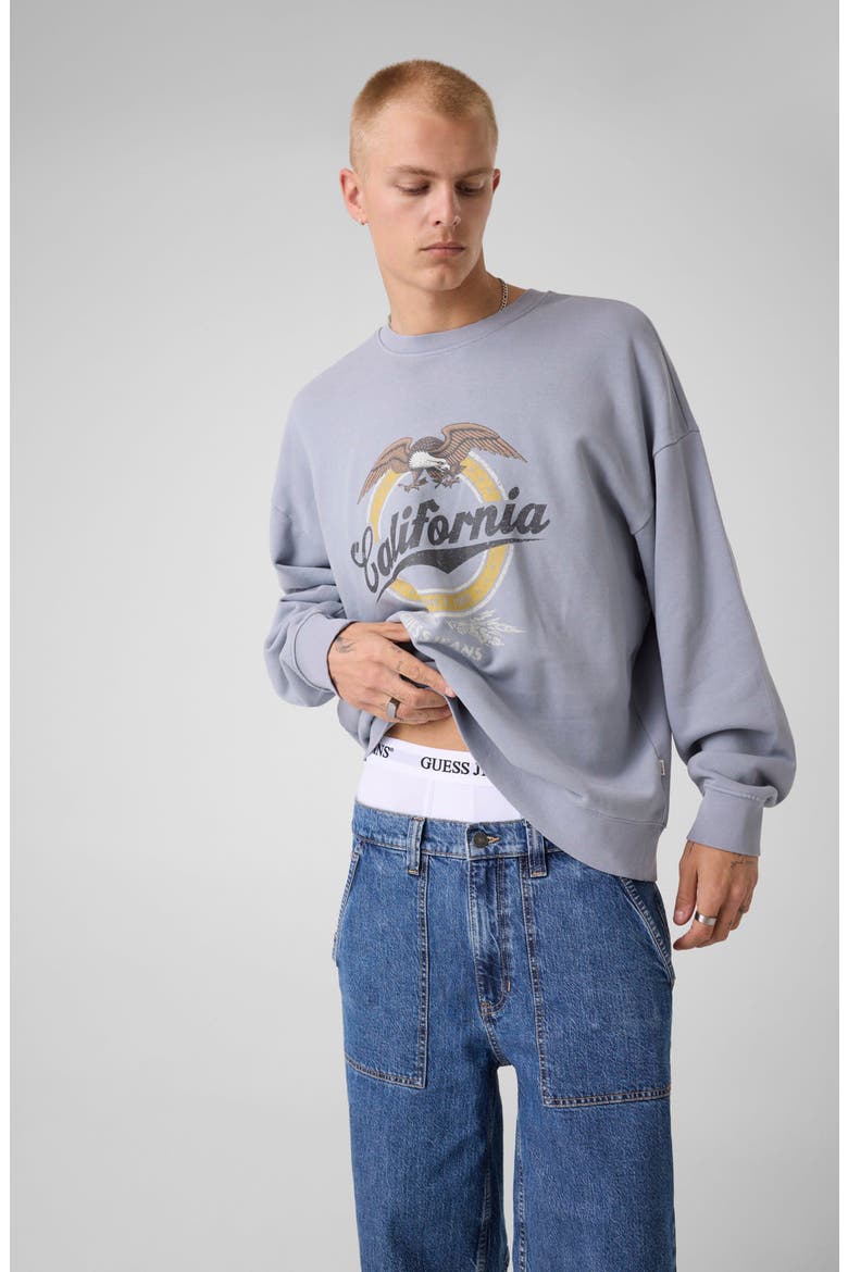 Eagle Graphic Sweatshirt, Alternate, color, LIGHT BLUE