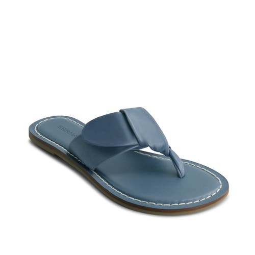 BERNARDO FOOTWEAR BERNARDO FOOTWEAR LAIA THONG SANDAL 