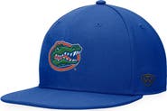 TOP OF THE WORLD Men's Top of the World Royal Florida Gators Fitted Hat