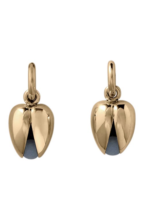 Annika Inez Open Pod Drop Earrings in Gold 