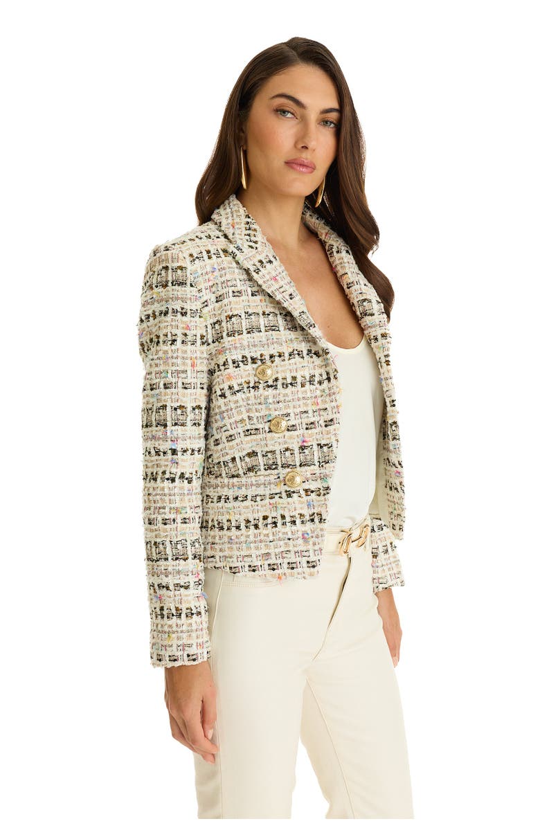 The Noli Shop Gabrielle Double-Breasted Tweed Blazer, Alternate, color, Ecru Multi