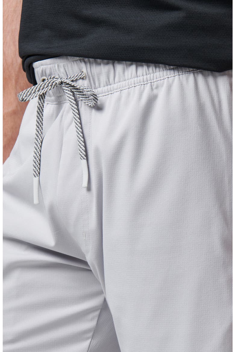 Wanderlust Ripstop Shorts, Alternate, color, MICRO CHIP