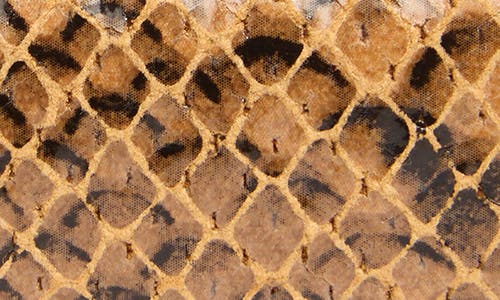 Shop Linea Pelle Faux Python Print Keeper Belt