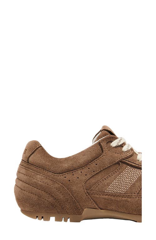 Alohas Tb.56 Suede Cream Leather Sneakers In Brown