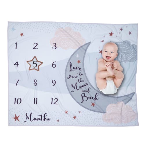 Lambs & Ivy Goodnight Moon Milestone Photo Opportunity Soft Fleece Baby Blanket In Gray