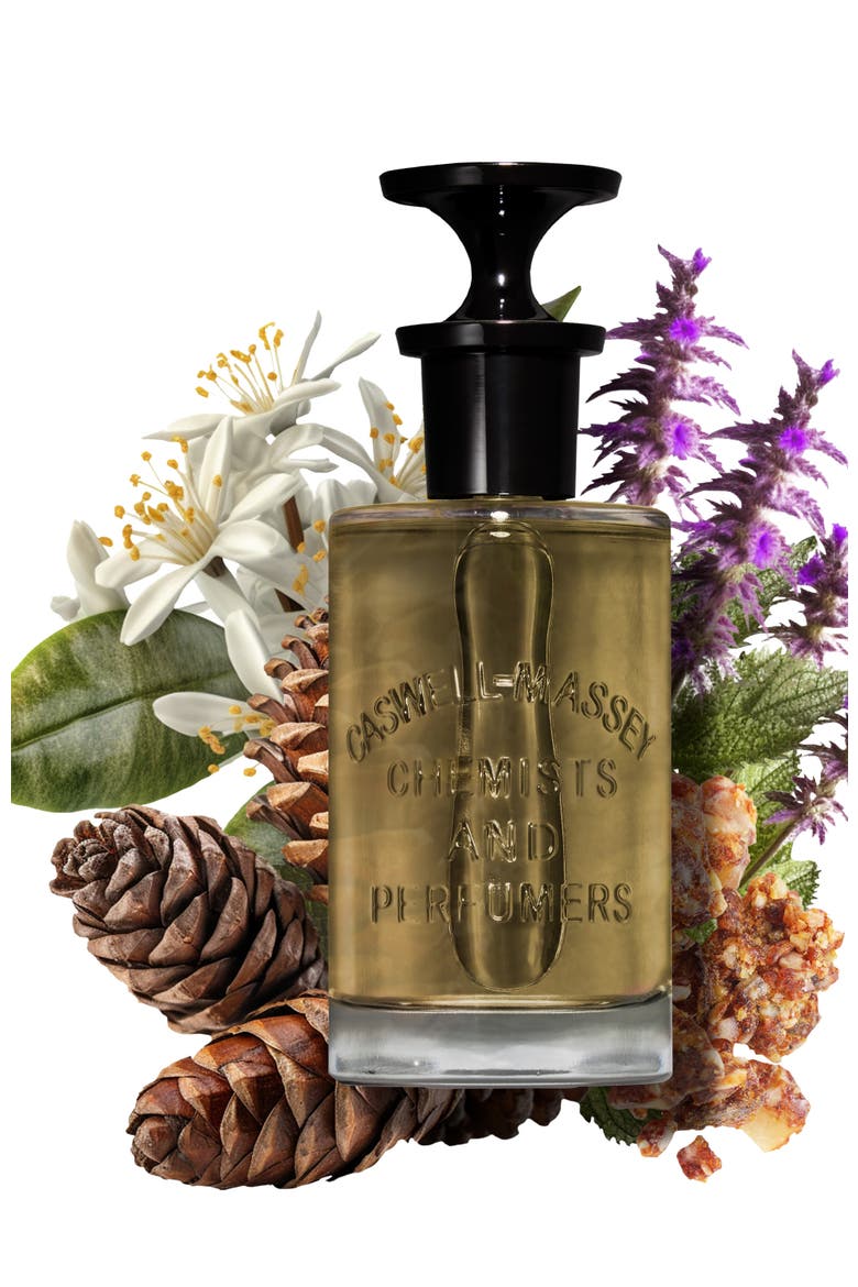 OAIRE Eau de Parfum, Alternate, color, 7.5mL