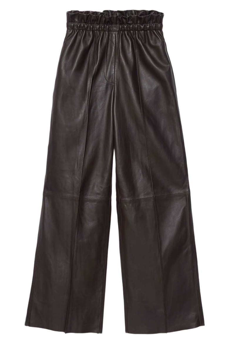 Fran Leather Trousers, Alternate, color, BITTER BROWN