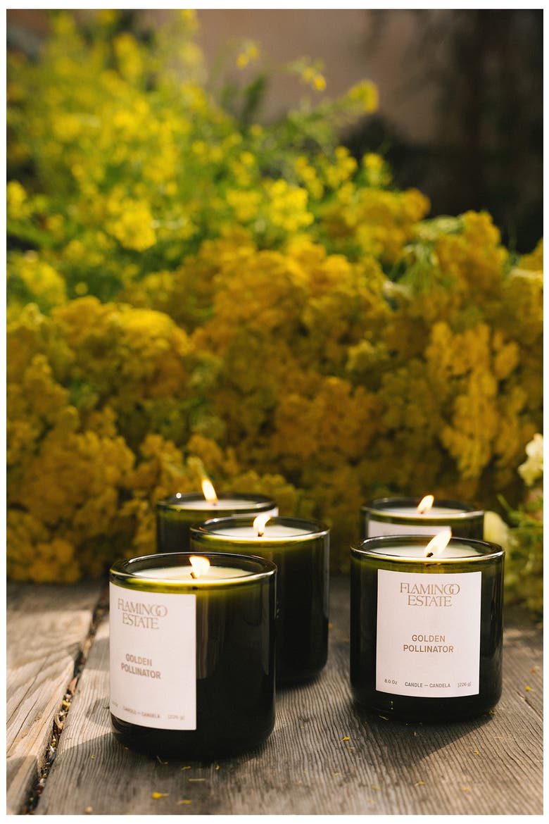 Golden Pollinator Candle, Alternate, color, NO COLOR