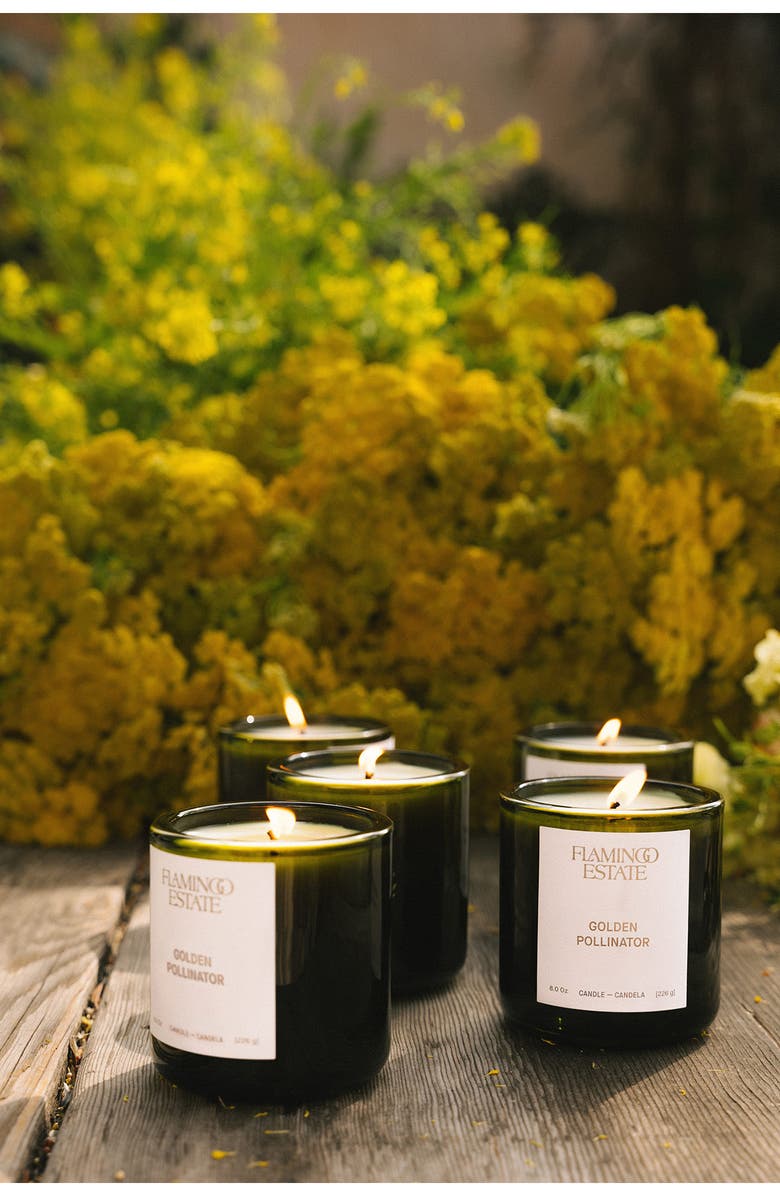 FLAMINGO ESTATE Golden Pollinator Candle, Alternate, color,