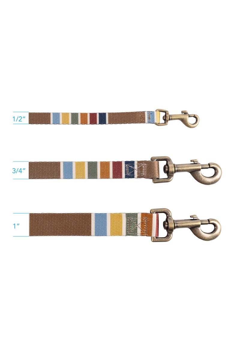 National Park Adventure Leash, Alternate, color, JOSHUA TREE