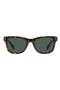  Havana/ Green Polarized