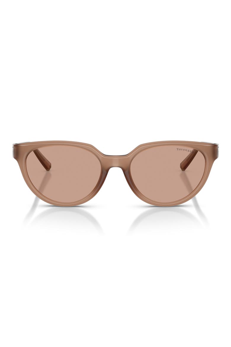 55mm Gradient Cat Eye Sunglasses, Main, color, COCA COLA SAPPHIRE / BROWN