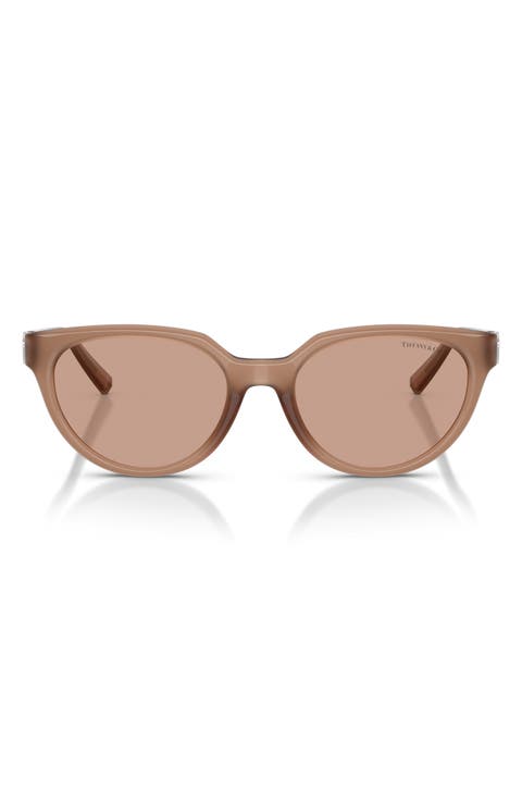 55mm Gradient Cat Eye Sunglasses