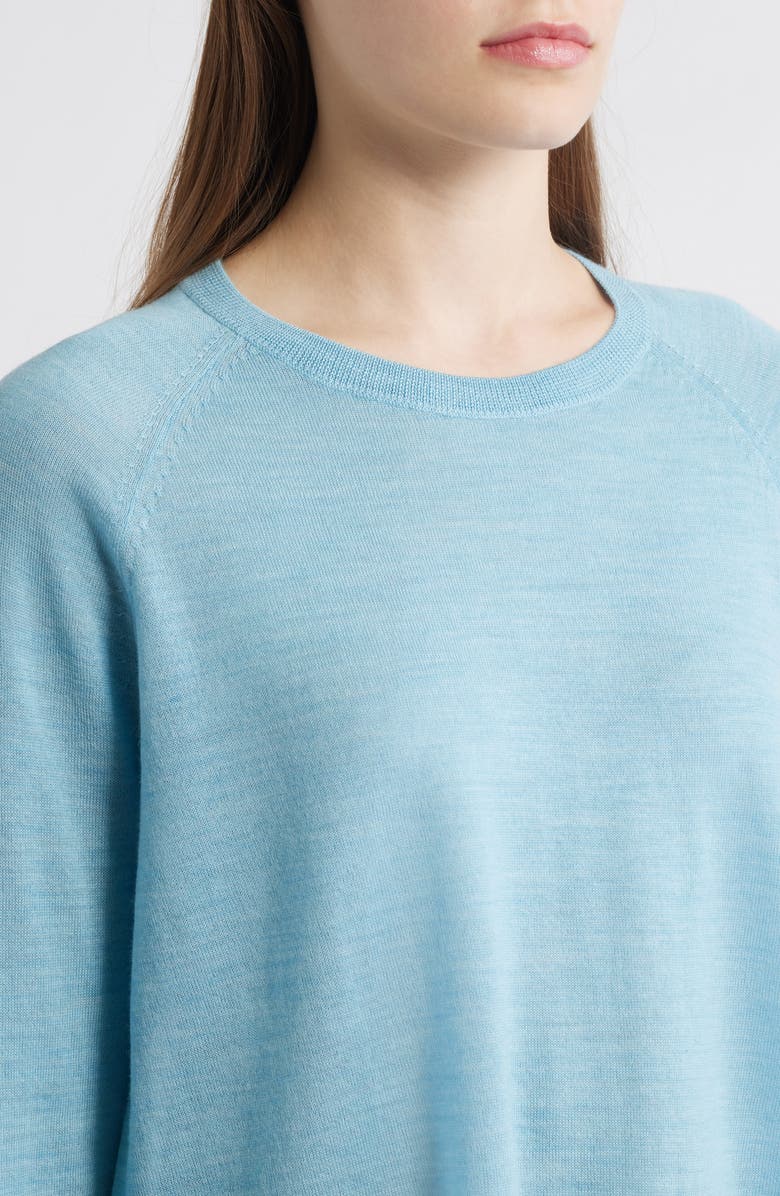 Eileen Fisher Raglan Sleeve Merino Wool Pullover, Alternate, color, Seabreeze