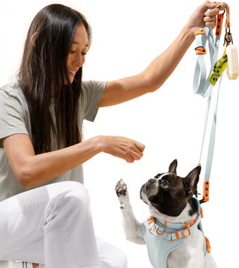 Luna 8FT Adjustable 6-in-1 Waterproof Hands-Free Leash and Collar with LED Flashlight, Bag Dispenser, and Poop Bag Holder