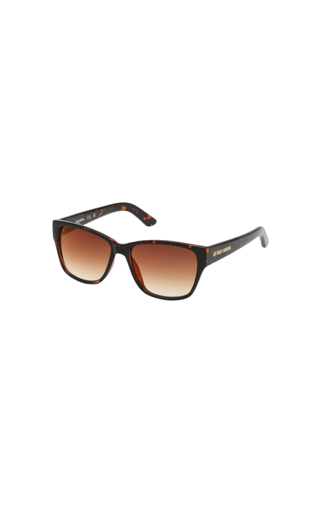 Cat Eye Acetate Sunglasses