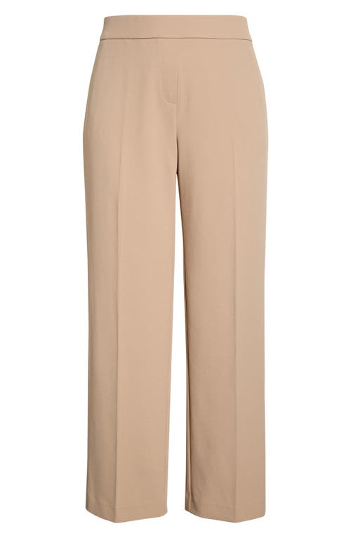 Ak Anne Klein Straight Leg Pants In Neutral