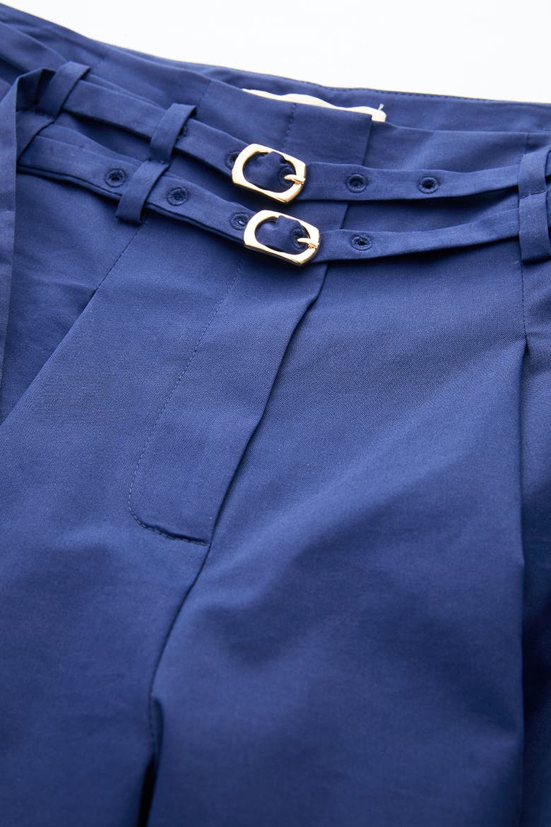 Mckenna Belted High Waisted Pleated Pants, Alternate, color, Navy