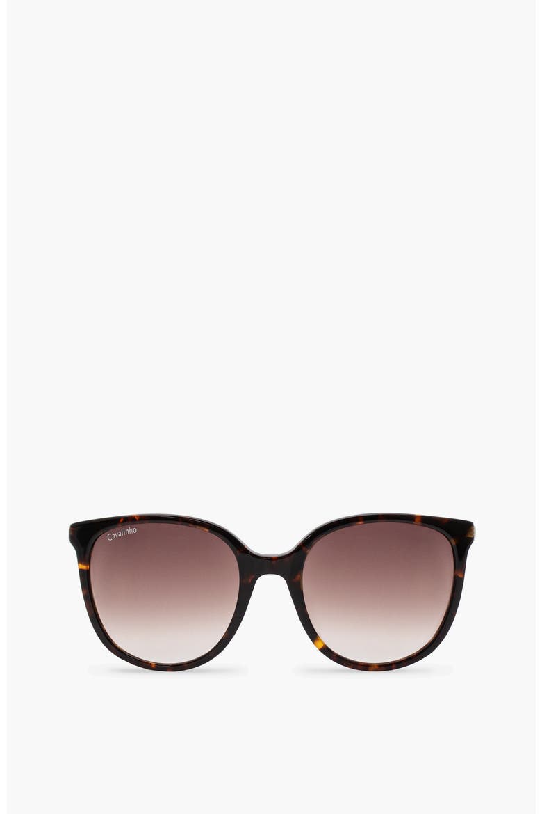 Sunglasses Cosmopolis, Main, color, Brown