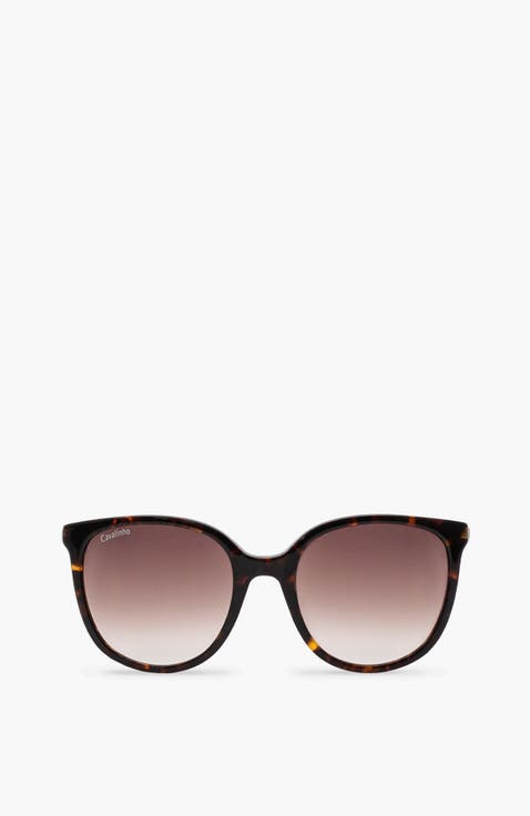 Sunglasses Cosmopolis