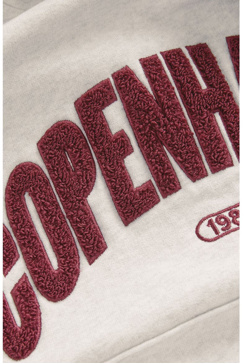 Kids' Copenhagen Cotton Blend Hoodie, Alternate, color, GREY