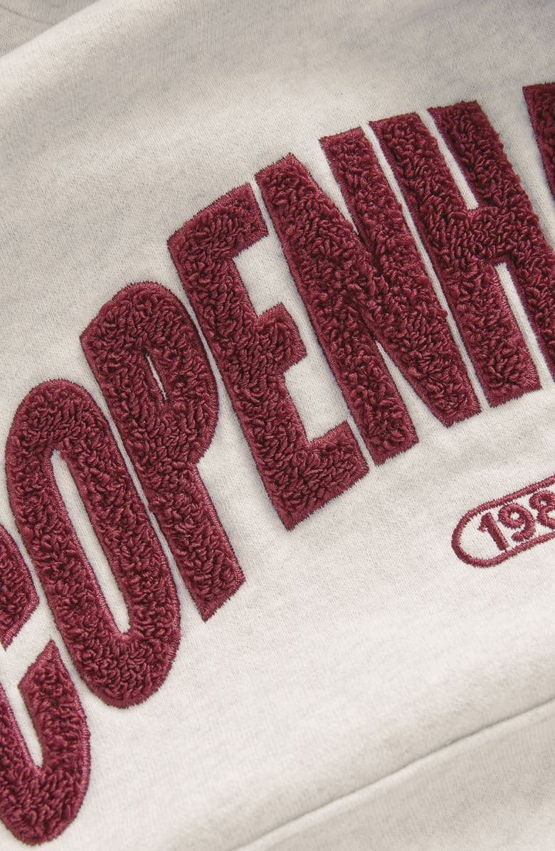 NEXT Kids' Copenhagen Cotton Blend Hoodie, Alternate, color, Grey