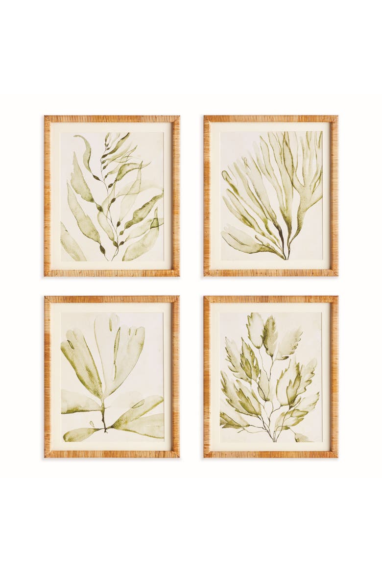 Coastal Greenery Prints, Set of 4 - Green Fir Wood Frame, Main, color, Green