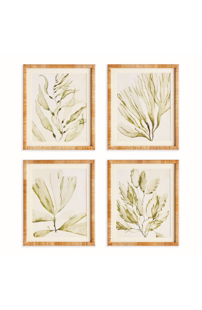 Napa Home & Garden Coastal Greenery Prints, Set of 4 - Green Fir Wood Frame, Main, color, Green