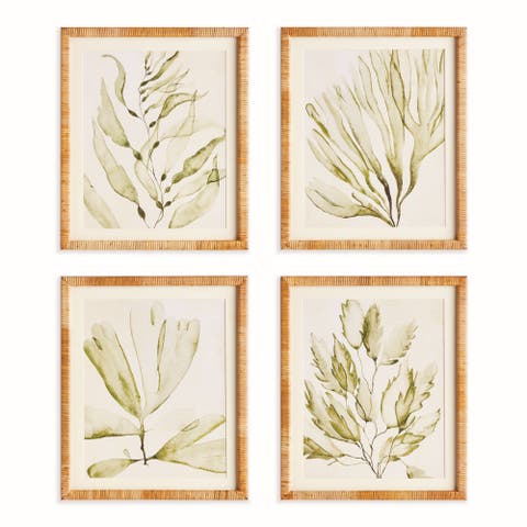 Coastal Greenery Prints, Set of 4 - Green Fir Wood Frame