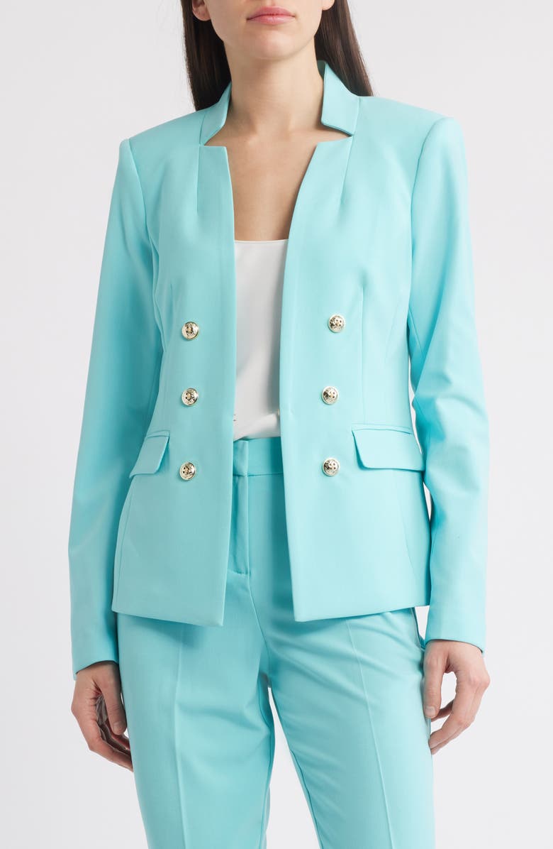 Tahari ASL Faux Double Breasted Jacket, Alternate, color,