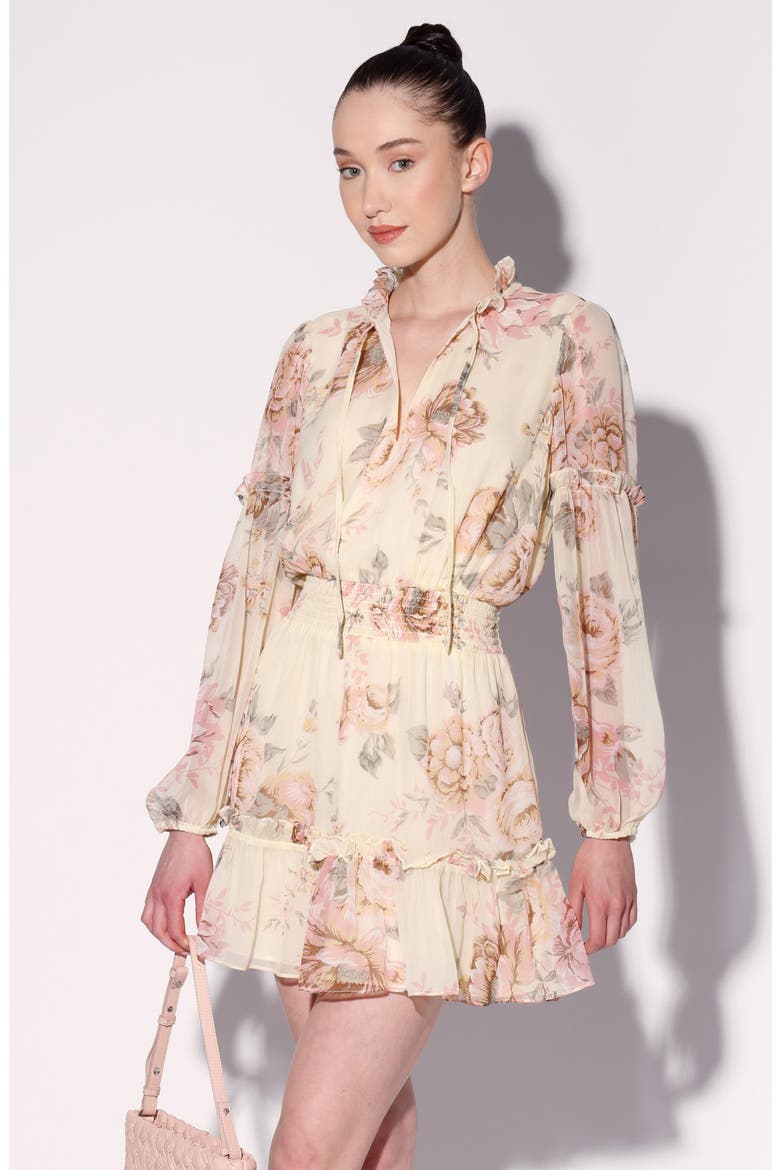 Darlene Long Sleeve Dress, Alternate, color, DESERT ROSE