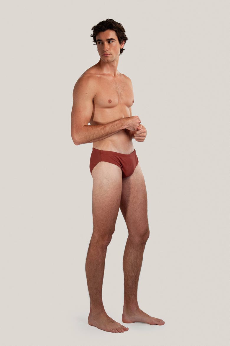 Dune Modern Cut Ribbed Stretch Swim Brief, Alternate, color, Rust