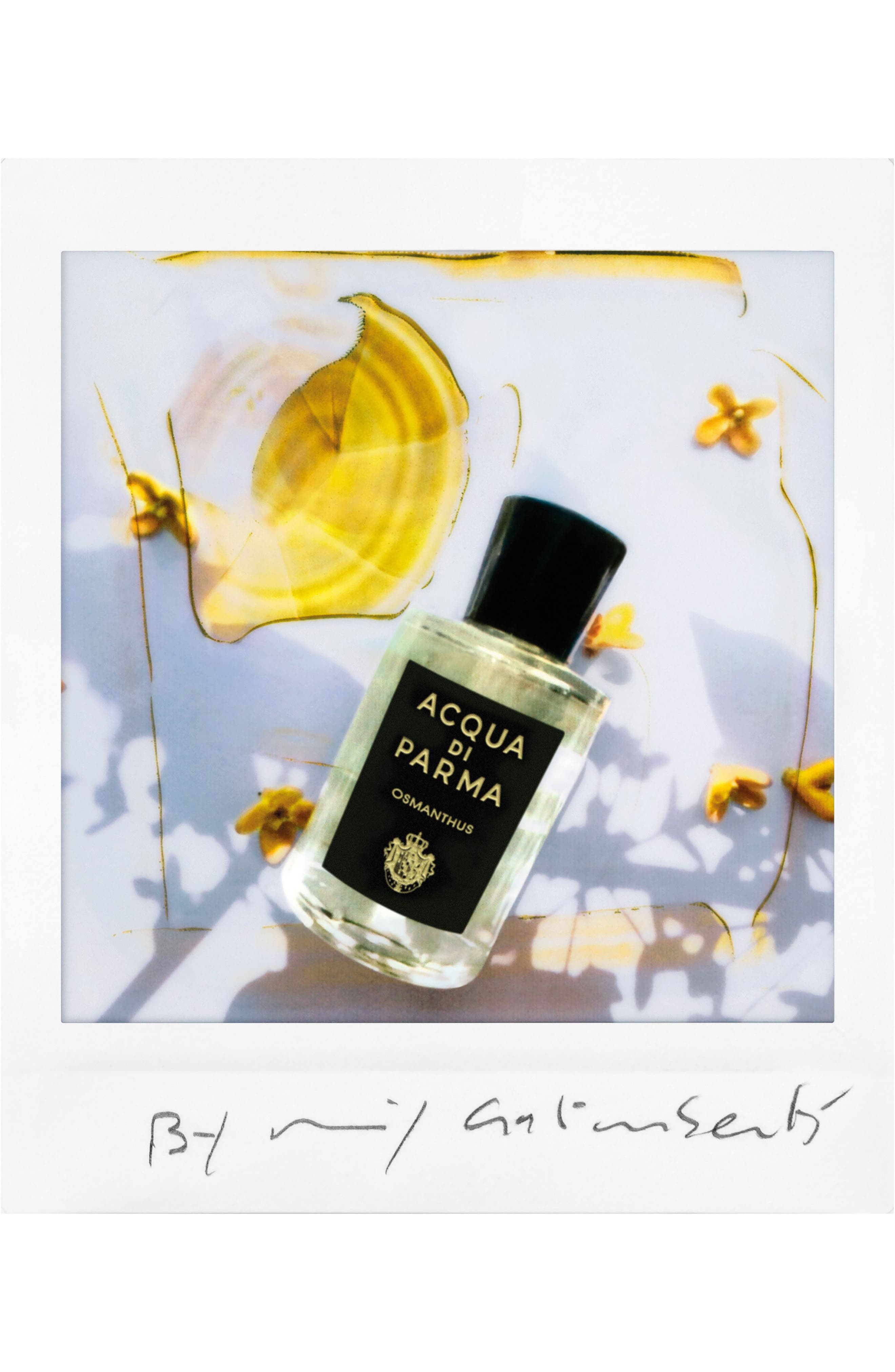 Osmanthus Eau de Parfum (Women) | Nordstrom