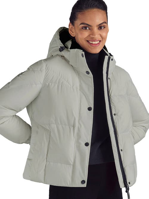 Triple F.a.t. Goose Puffer Down Jacket In Gray