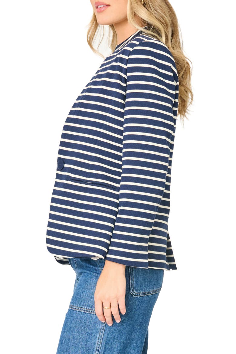 Stripe Knit Blazer, Alternate, color, NAVY STRIPE