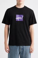 Rip Curl Rip Script Icon Organic Cotton Graphic T-Shirt