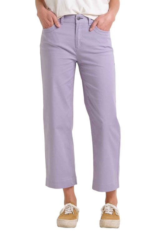 Toad & Co Earthworks Wide Leg Pant in Aster 