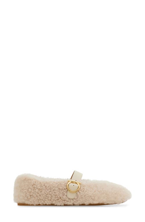Ferragamo Gancio Genuine Shearling Ballet Flat In Neutral