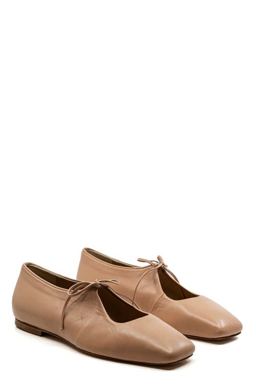 Andrea Gomez Amelia Leather Ballet Flats In Blush