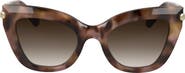Longchamp Roseau 50mm Gradient Cat Eye Sunglasses