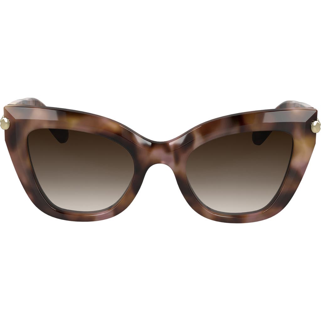 Longchamp Roseau 50mm Gradient Cat Eye Sunglasses In Rose Havana