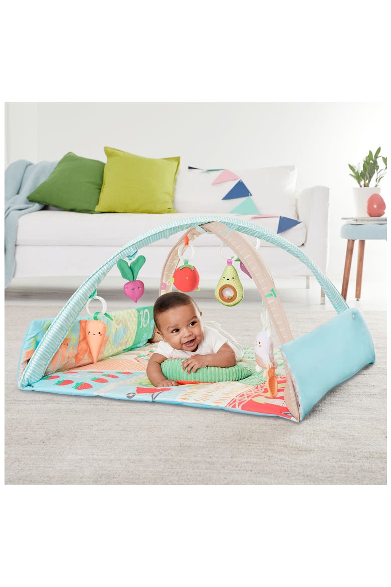 Farmstand Grow & Play Activity Gym, Alternate, color, MULTI