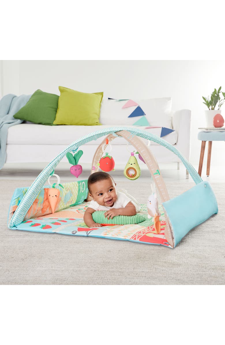 Skip Hop Farmstand Grow & Play Activity Gym, Alternate, color, Multi