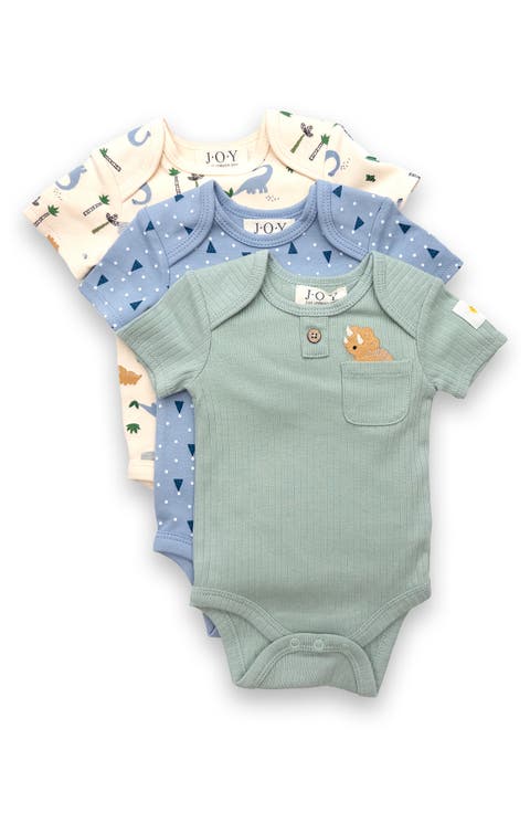 3-Pack Assorted Bodysuits (Baby)