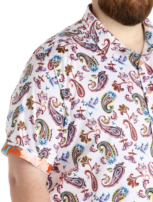 Robert Graham Dxl Big & Tall Tangier Paisley Print Sport Shirt In Red